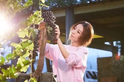 S.H.E的粉丝如何评价大公司华研?