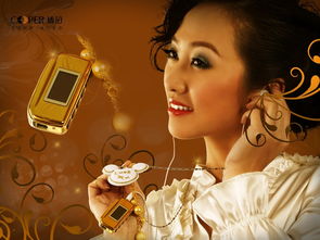 琥珀口琴cp28 2gb mp3产品图片7素材 it168mp3图片大全