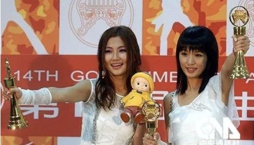 中国第一女团 从一夜爆红到销声匿迹,解散是她们的宿命